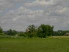 Storchentreff in Auhausen