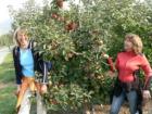 Zwei Frauen vor einem Apfelbaum