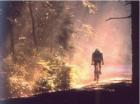 Radfahrer auf Waldweg