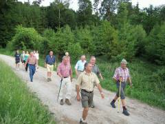 Wandergruppe im Oettinger Forst Wandergruppe im Oettinger Forst