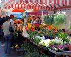 Wochenmarkt