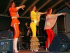 Musical Night 2010