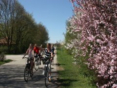 Gruppen