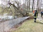 Böschungsbrand