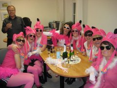 Flamingos