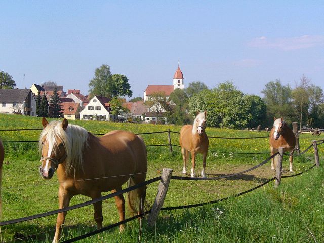 Große Darstellung des Bildes