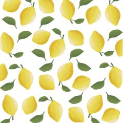 OGV: Jahresabschluss/beginn mit Ehrungen